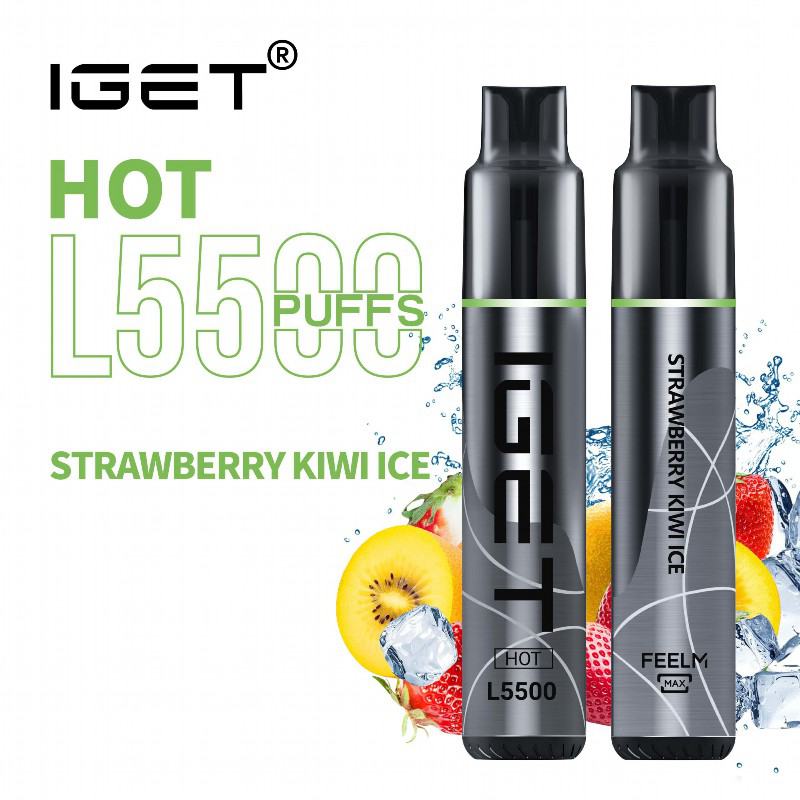 Disposable Iget Hot L5500 Vape Pens