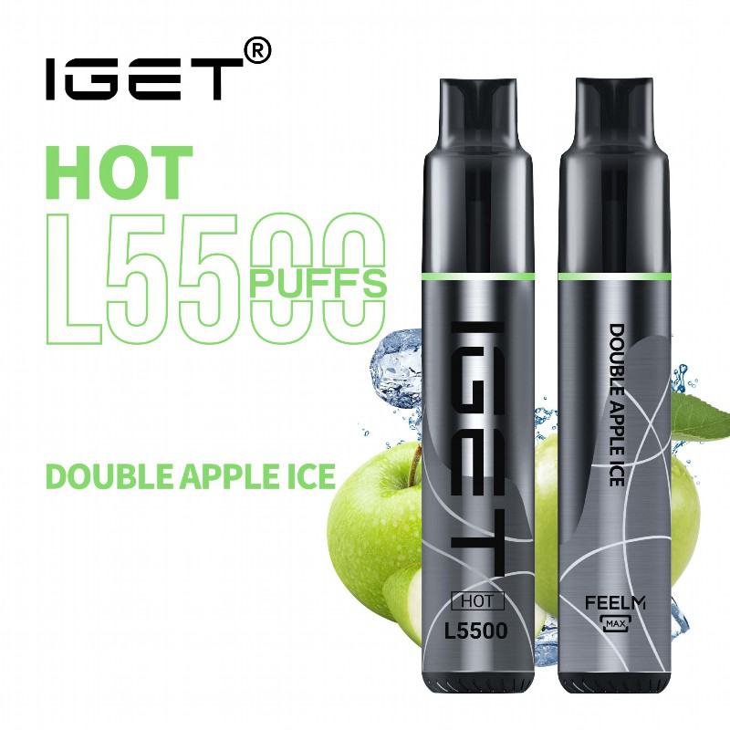 Disposable Iget Hot L5500 Vape Pens