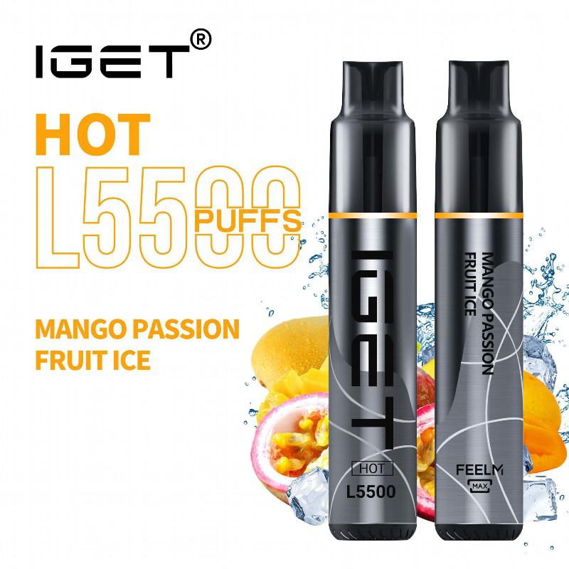 Disposable Iget Hot L5500 Vape Pens