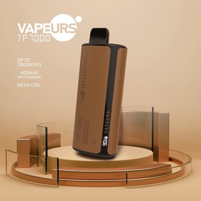 Disposable Vapes urs Tp 7000 Puffs
