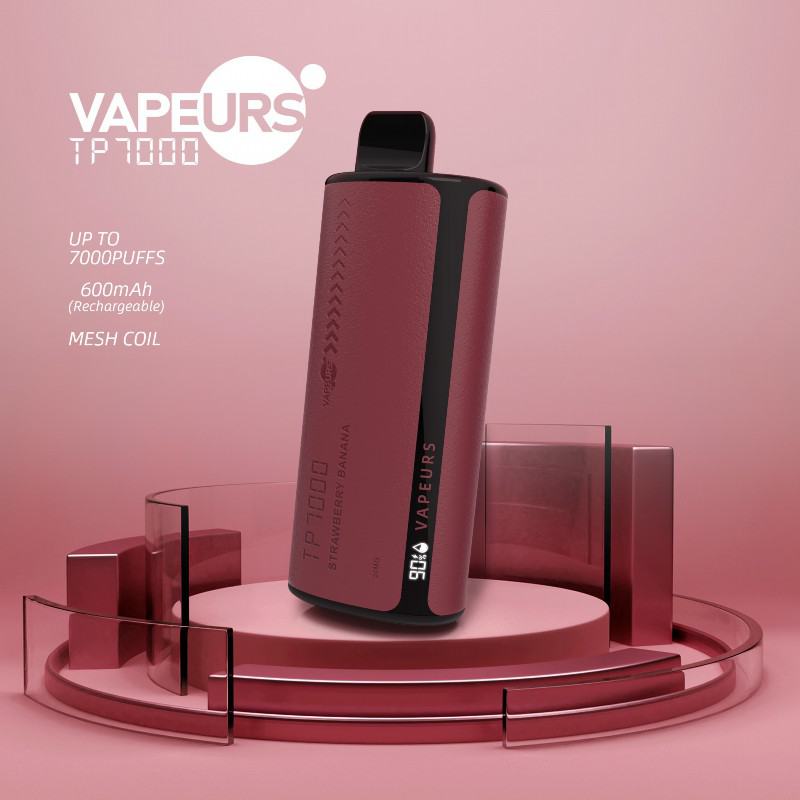 Disposable Vapes urs Tp 7000 Puffs