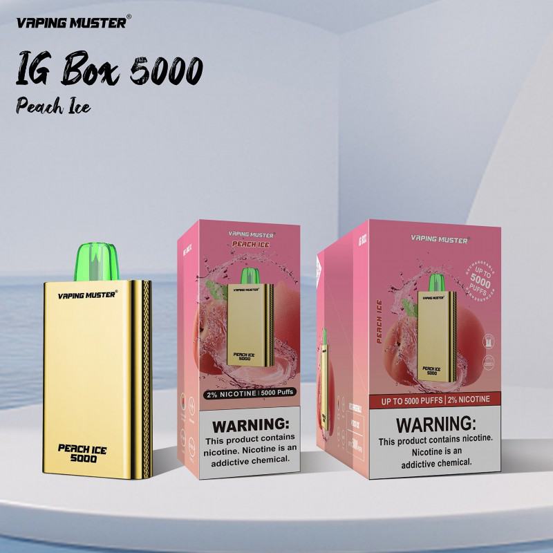 Disposable Niimoo Vape Vmigbox 5000 Puffs
