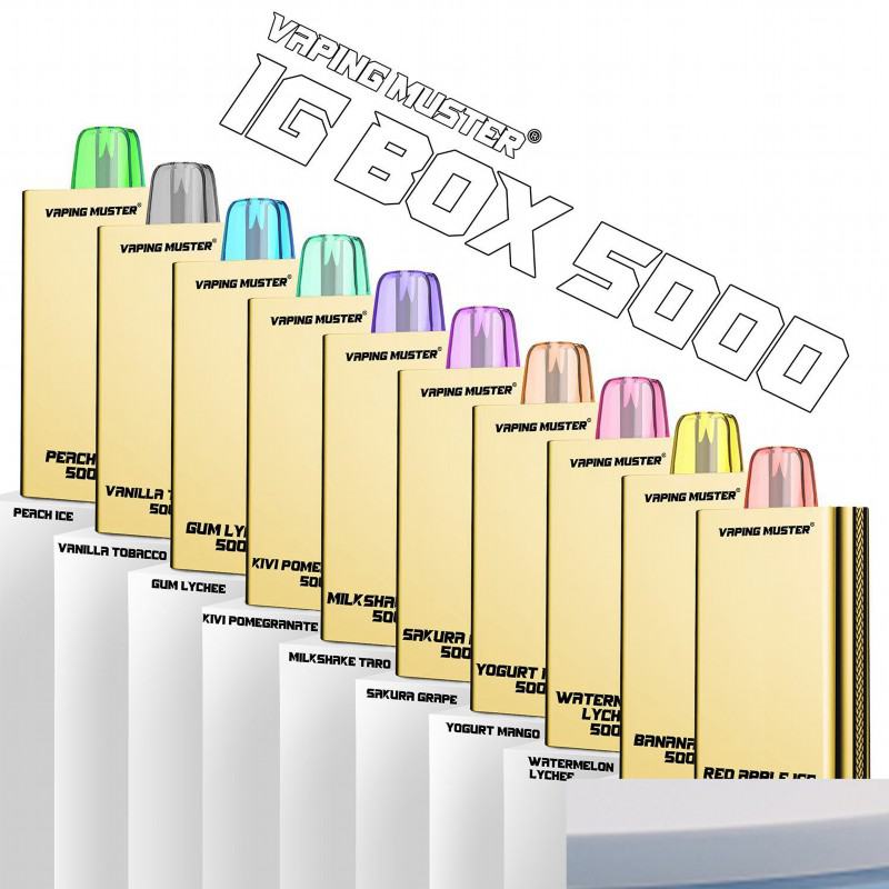 Disposable Niimoo Vape Vmigbox 5000 Puffs