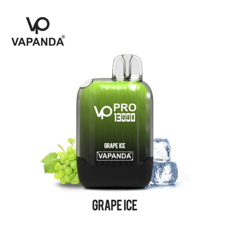 VAPANDA Big Puff Bars Plus