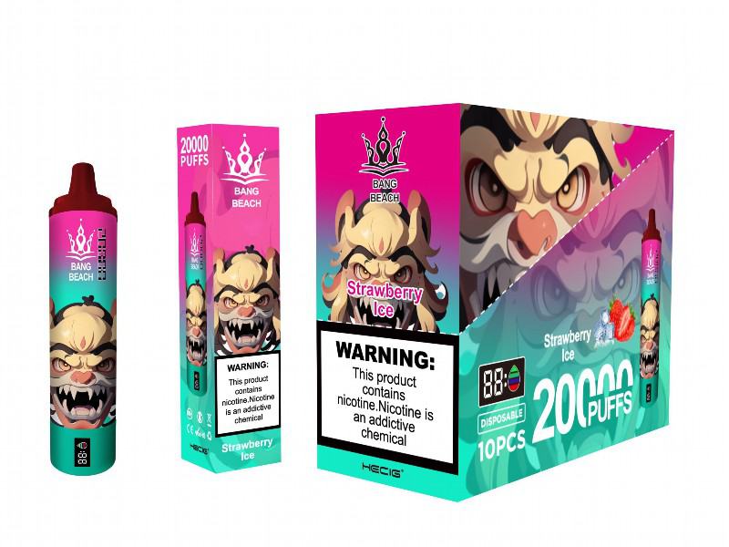 Bang Bnag Beach 22000 22k Disposable E R 20000 Puffs Disposable E-cigarette Nicotine
