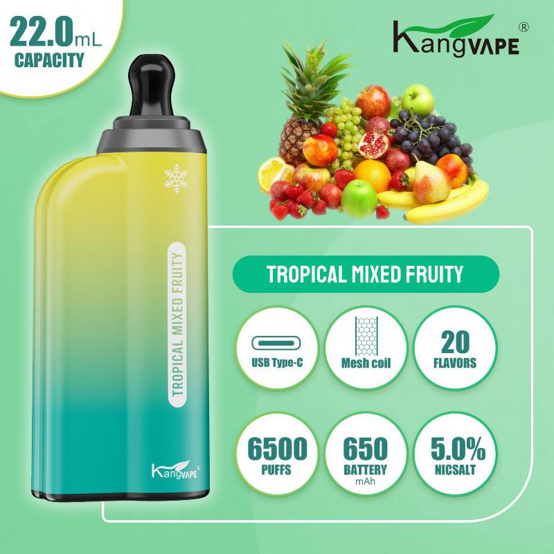 Disposable Vape Kang 6500 Brands