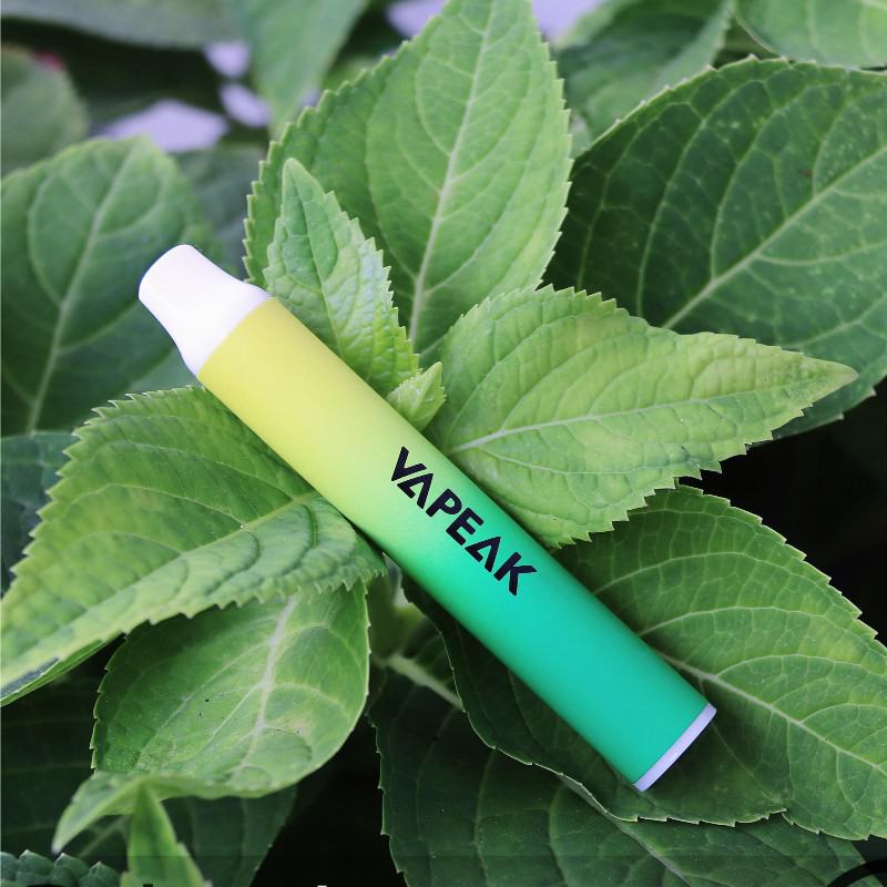 Disposable AK Vape Mesh 800 Puffs Brands