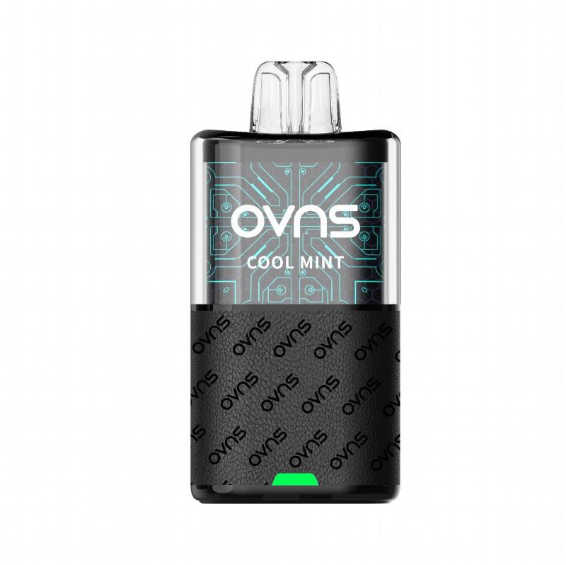 Disposable OVNS 848 8000 Puffs Vape