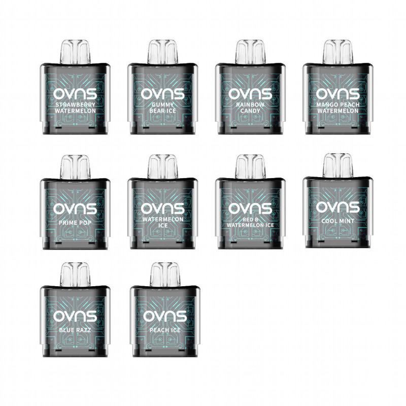 Disposable OVNS 848 8000 Puffs Vape