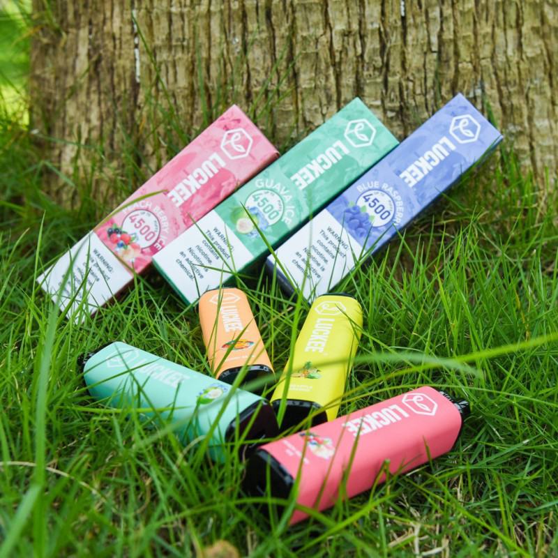 luckee or OEM Luckee S 4500 Puffs Electronic Cigarette