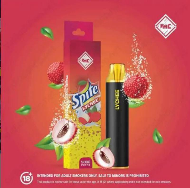 Disposable Baish E-cigarette Vmc 5000 Nicotine