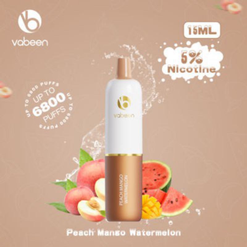 Vabeen Vabeen Plum Max 6800 Puffs Vape Disposable