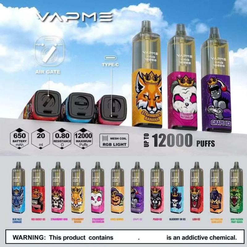 Vapme Big Puff Pen Plus