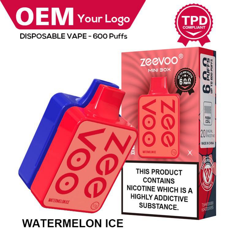 Your Logo Disposable Vape Pens Mini Box 600 Puffs