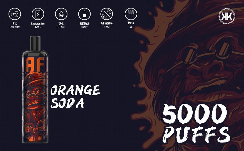 Disposable Energy 5000 Puffs Vapes