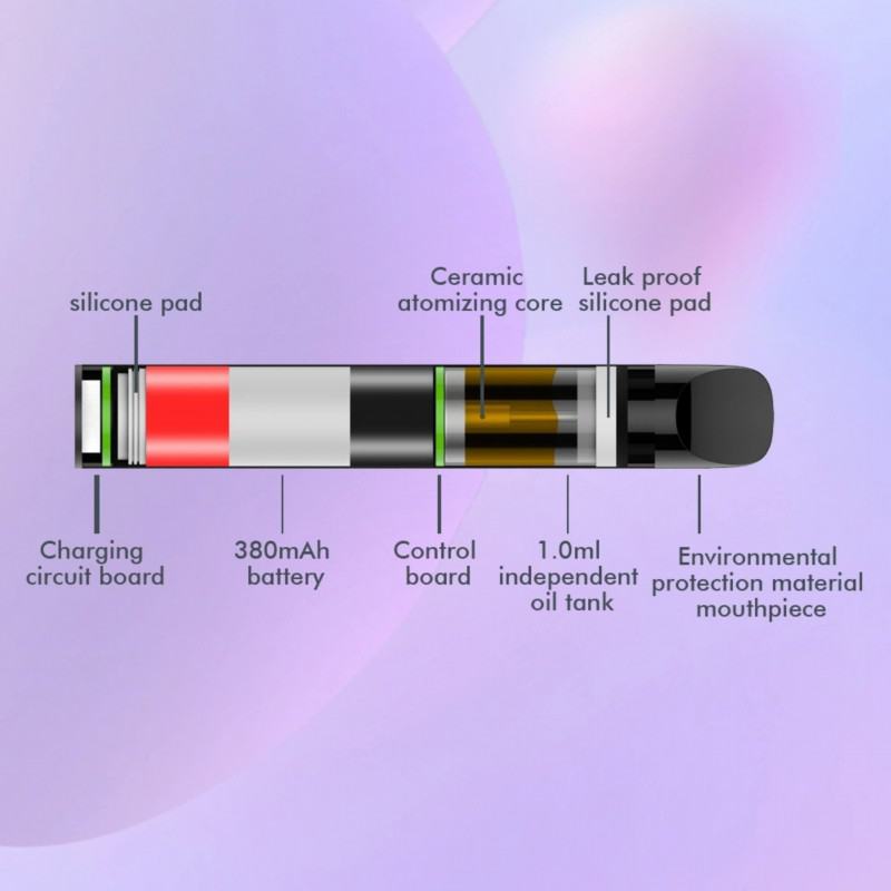 Customization D01 Disposables Vape