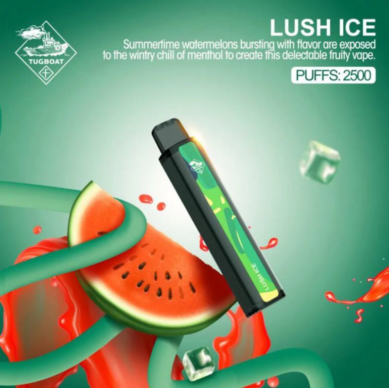 Disposable Vape Brands Fucig, OEM - 2500 Puffs