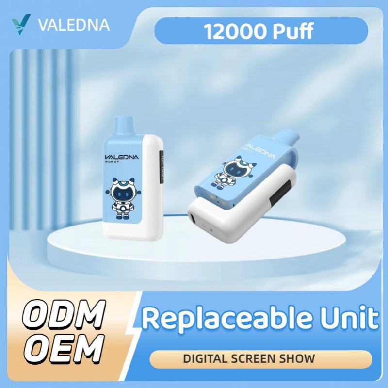 Disposable VALEDNA 12000 Puffs Vape Brands