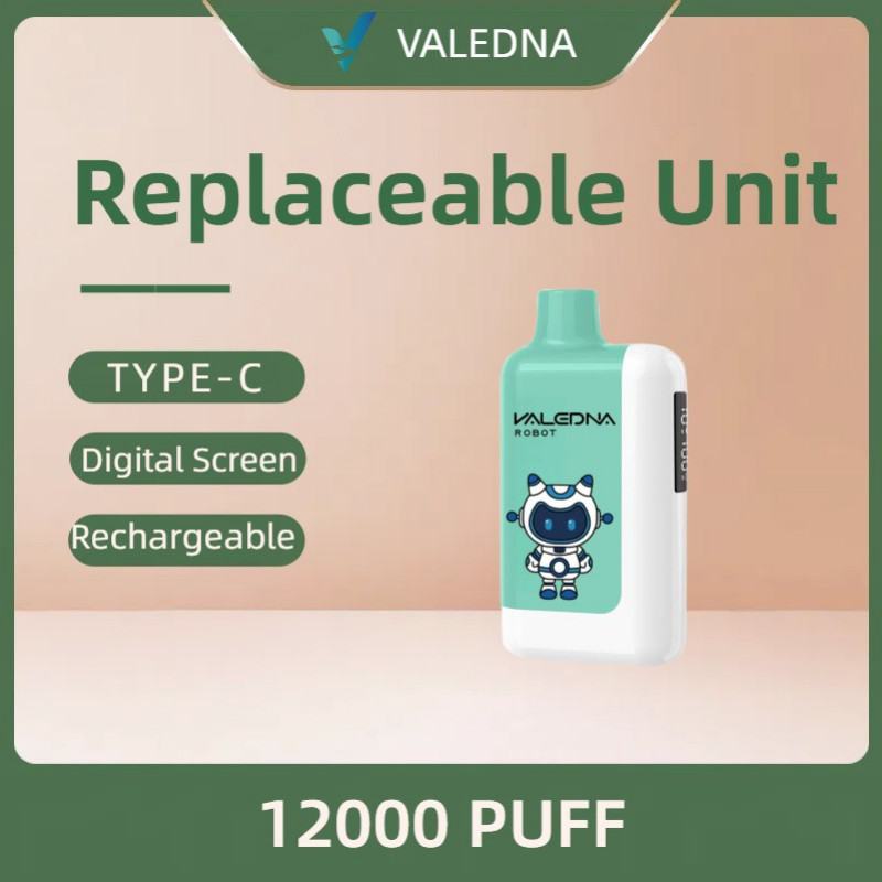 Disposable VALEDNA 12000 Puffs Vape Brands