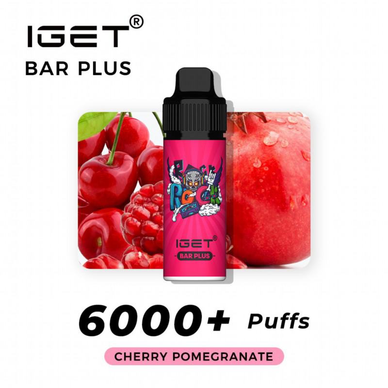 Disposable Iget Vape Plus