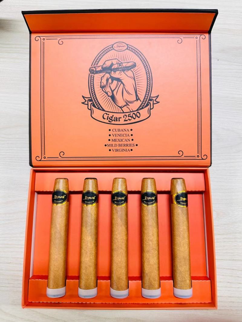 VALEDNA Pens 099 3000 Puffs Hits Vape Puffs