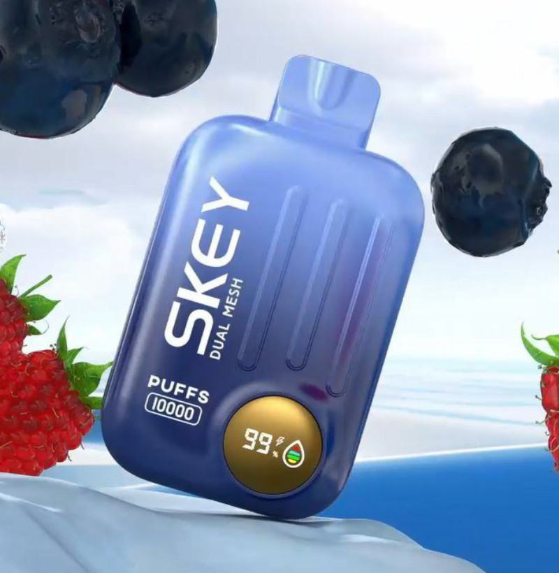 Disposable Vapes Skey Isamrt