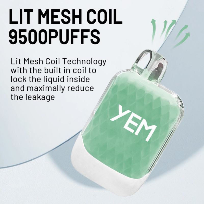 yem Td95-57bs 9500 Puffs Disposable E-cigarette