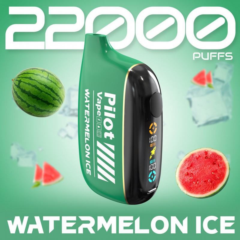 Disposable Pilot Pilot Star Bat 22000 Puffs E-cigarette Nicotine