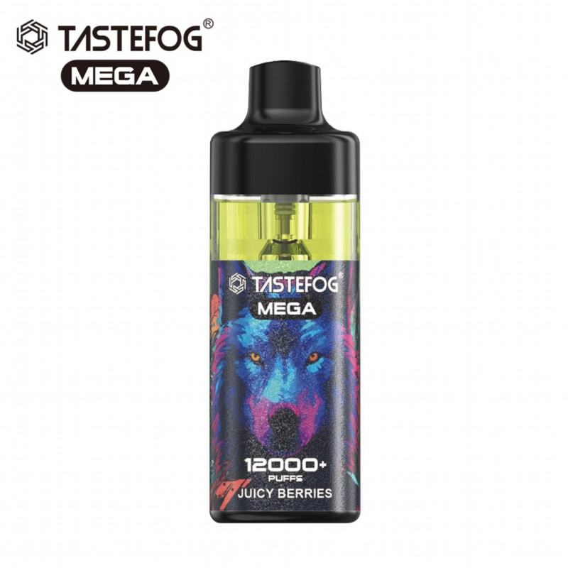 breze Vape Pens Tastefog Mega 12000