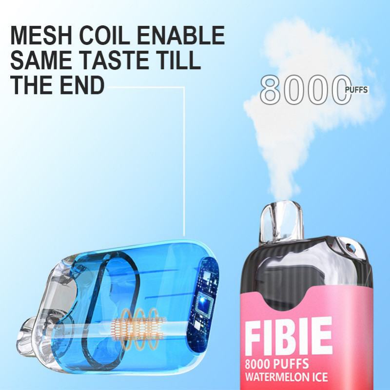 Disposable FIBIE Vape Fruit Flavor Disaposable 8000 Puffs Pen