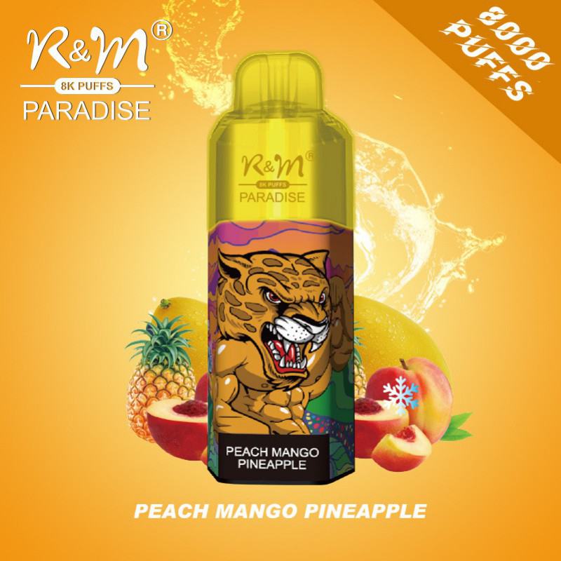 Disposable R & M Vape R&m Paradise 8000 Puffs Brands