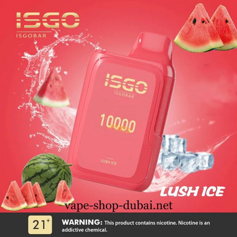 hcigar Isgo 10000 Puffs Vape Disposable