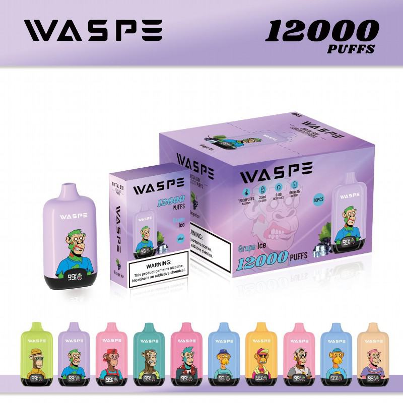 Disposable Vape Waspe Box 12000 Puffs Brands