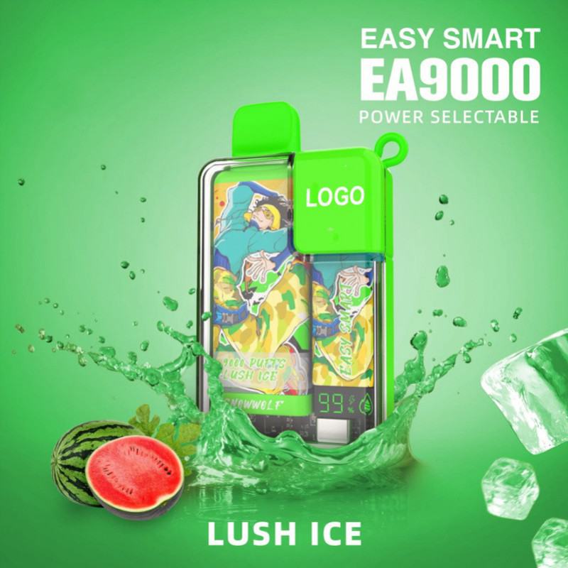 Disposable Customizable Vape Bar Ea 9000 Puffs