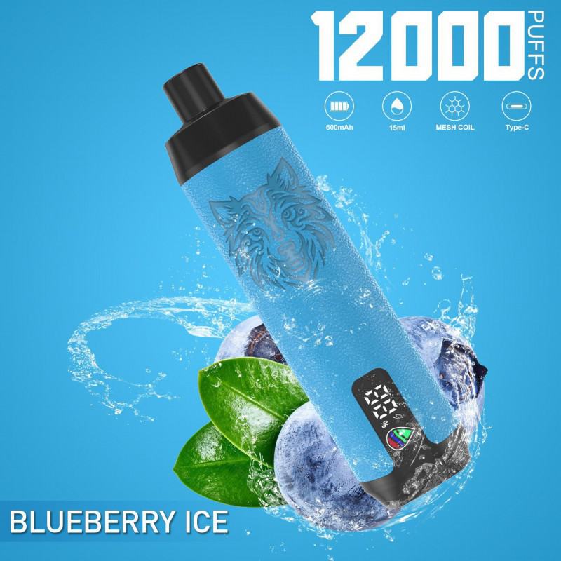 N/M Puff Dtl 12000 Puffs Disposable E-cigarette