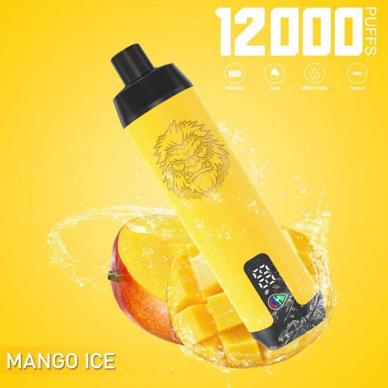 N/M Puff Dtl 12000 Puffs Disposable E-cigarette