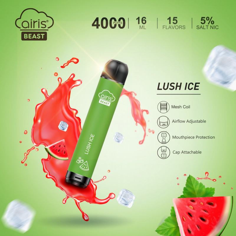 Airis Pen Vape 4000 Puffs