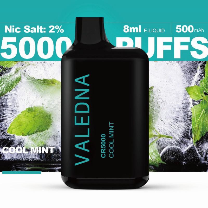 Disposable VALEDNA Vape Pen 004 5000 Puffs