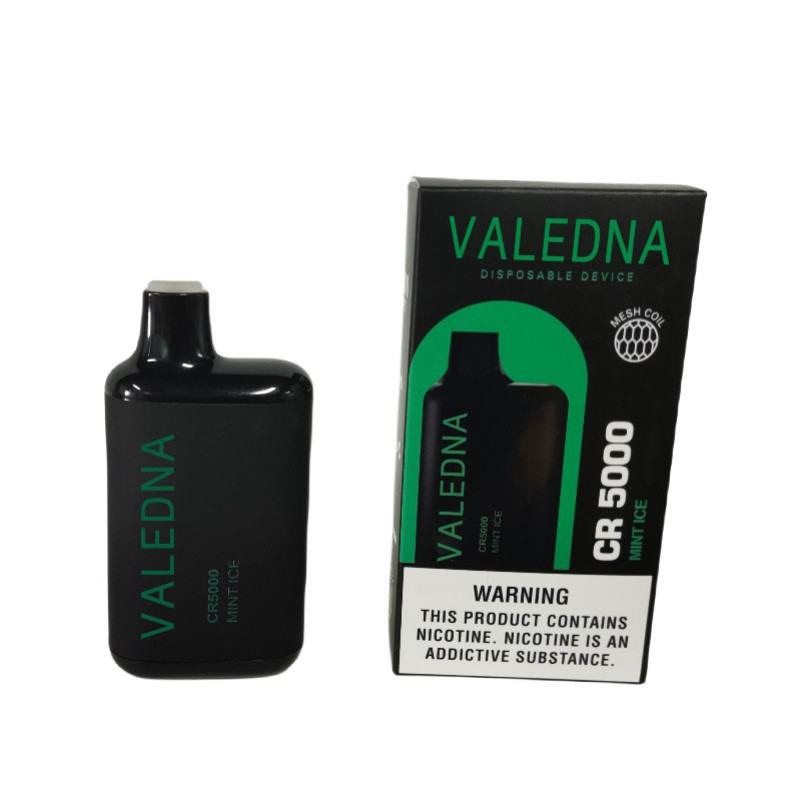 Disposable VALEDNA Vape Pen 004 5000 Puffs