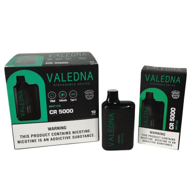 Disposable VALEDNA Vape Pen 004 5000 Puffs