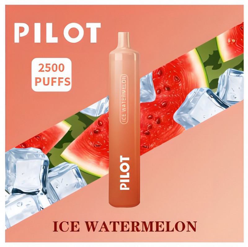  Vapes Pilot 2500