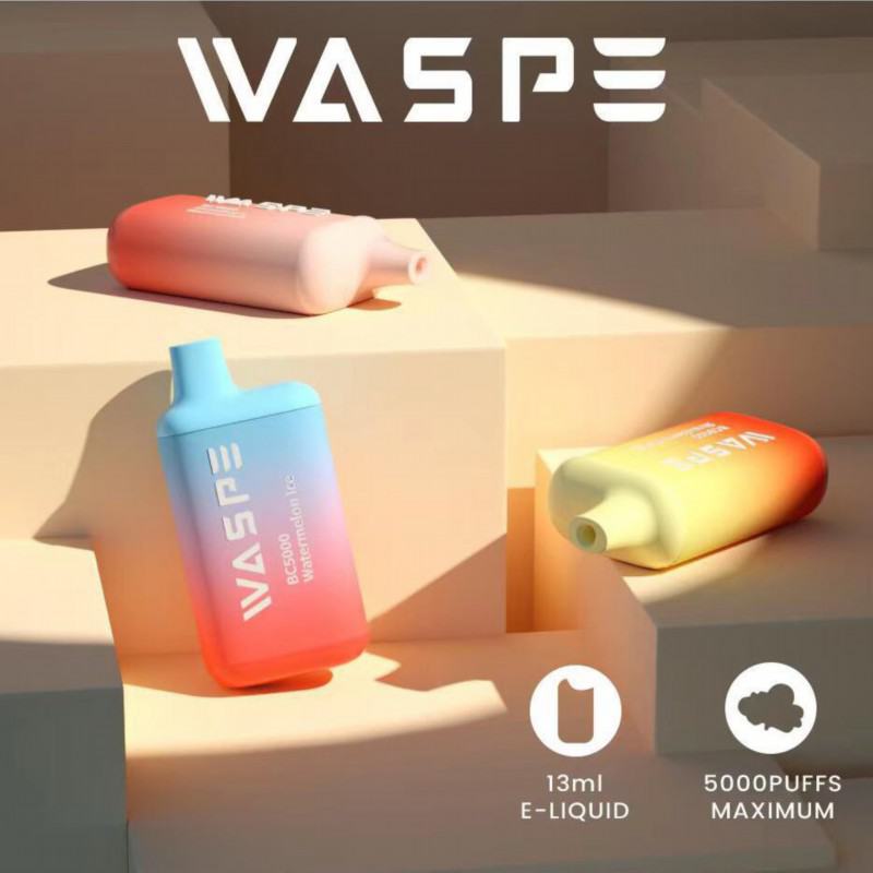 Waspe Disposable Vape Pens Bc 5000 Puffs