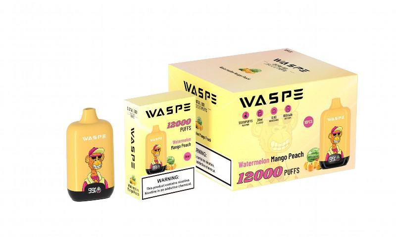 Disposable Big Hit Vape Waspe Digital Box 12000