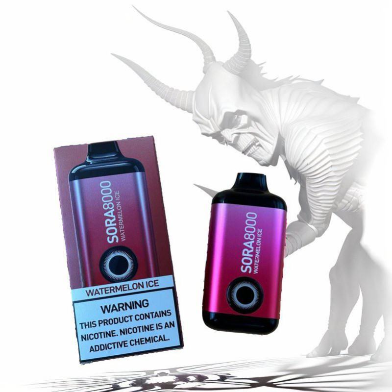 Disposable FV Vape Pen Sora 8000 Puffs