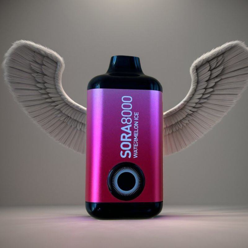 Disposable FV Vape Pen Sora 8000 Puffs