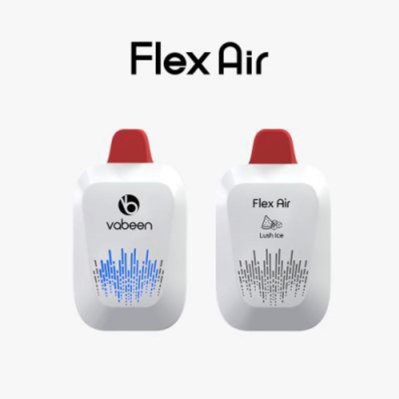Disposable VABEEN Vbeen Flex Air 5000 Puffs E-cigarette Nicotine