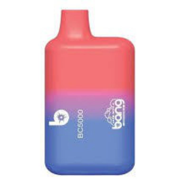 no Bang 5000 Disposable Big Hit Vape