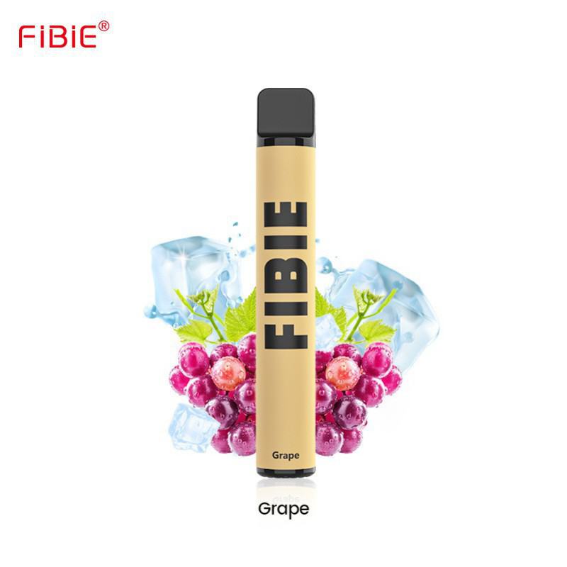 Bang Pen Vape Fibie 600 Puffs