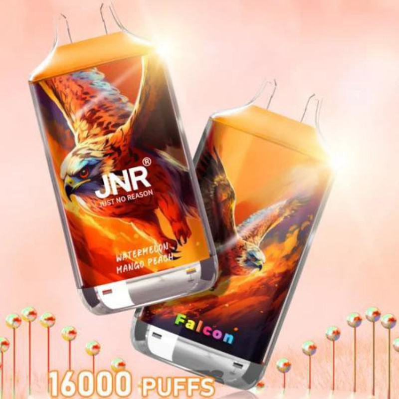 zbood Big Puff Bars Plus