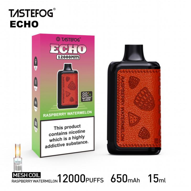RandM Disposable Vape Brands Echo 12000 Puffs
